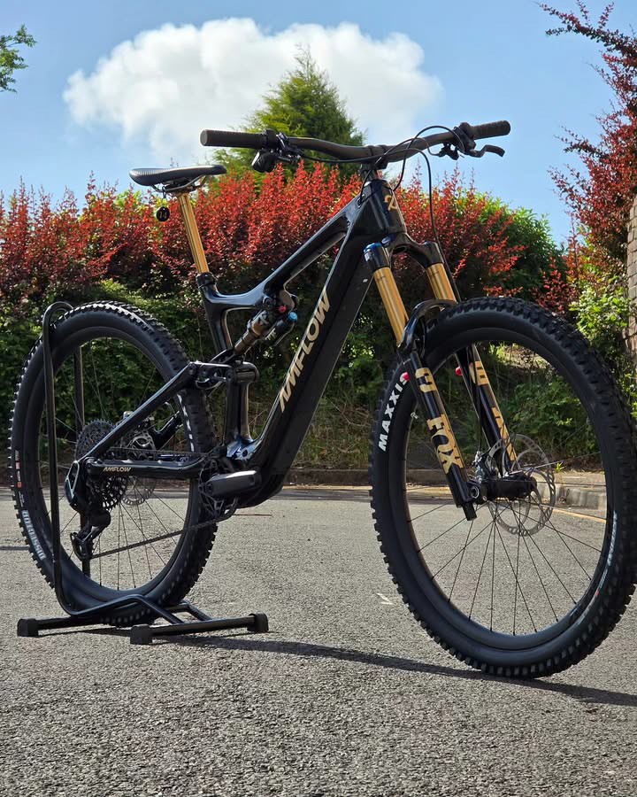 Amflow E-bike for sale