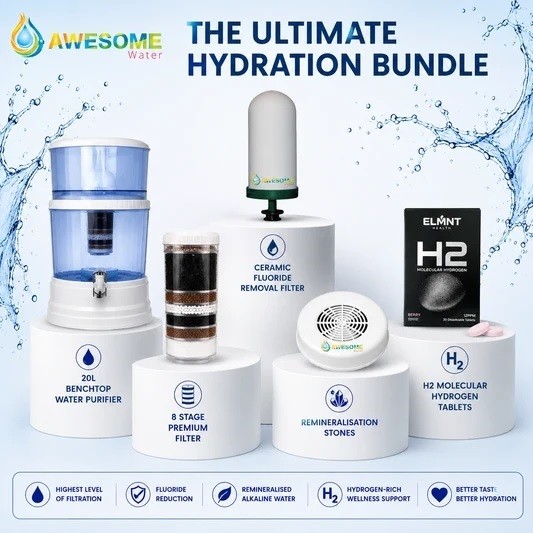 Whole House Water Filtration System