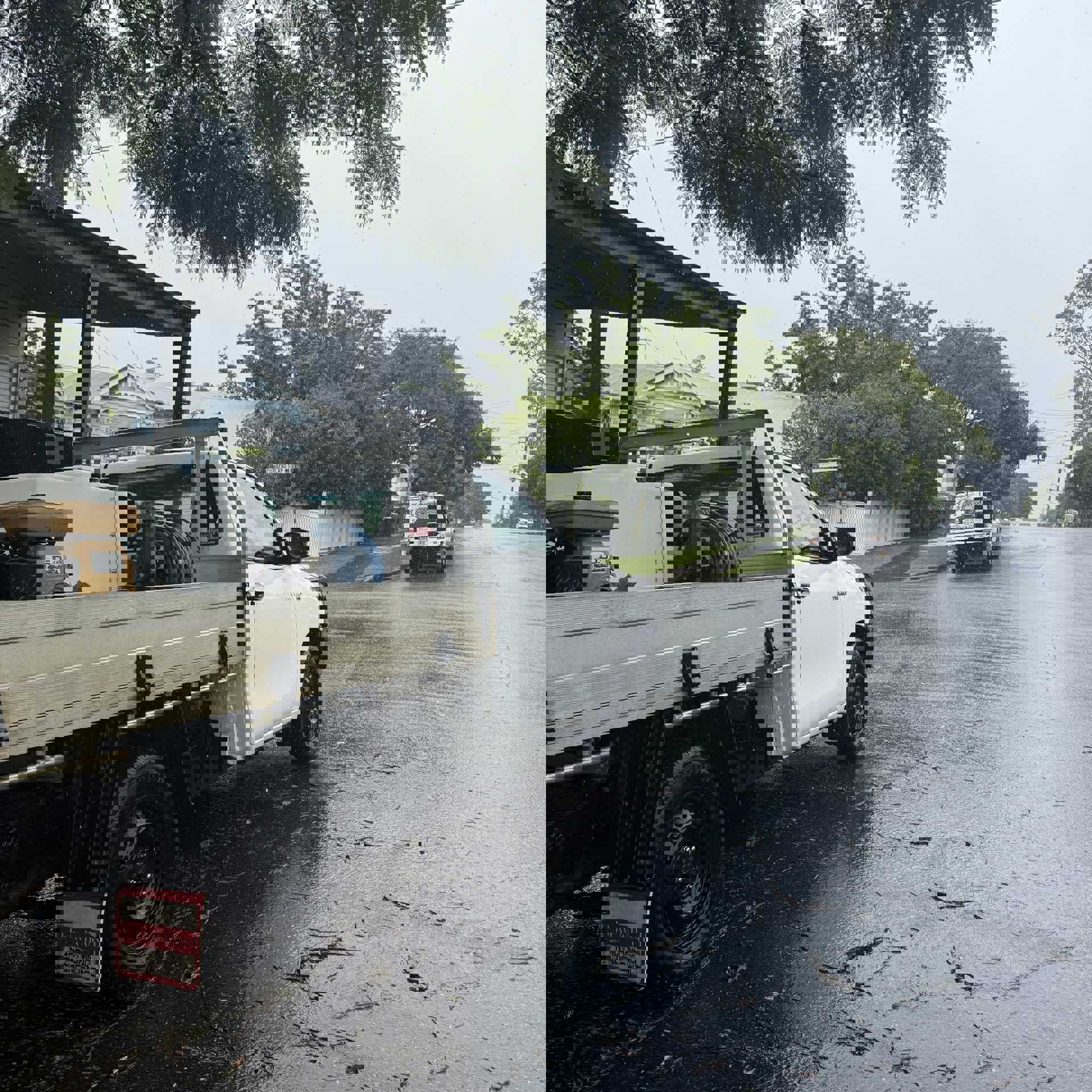 Pest Free Ipswich & Brisbane | Pest Control, Bird Proofing & Termite Treatment Ipswich & Brisbane